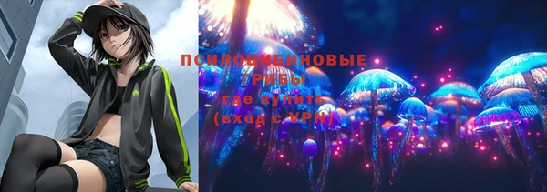 молекула духа Зеленодольск