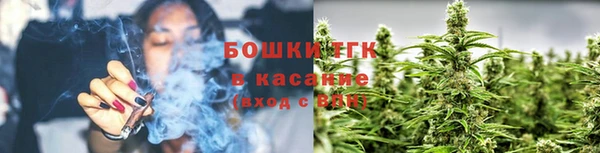 молекула духа Зеленодольск