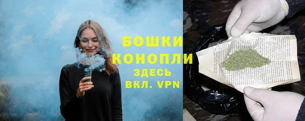 молекула духа Зеленодольск