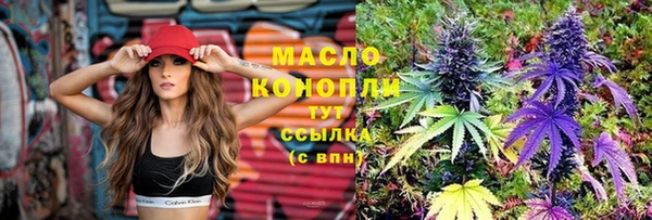 молекула духа Зеленодольск