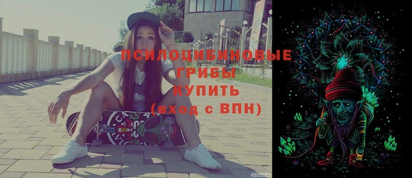 молекула духа Зеленодольск