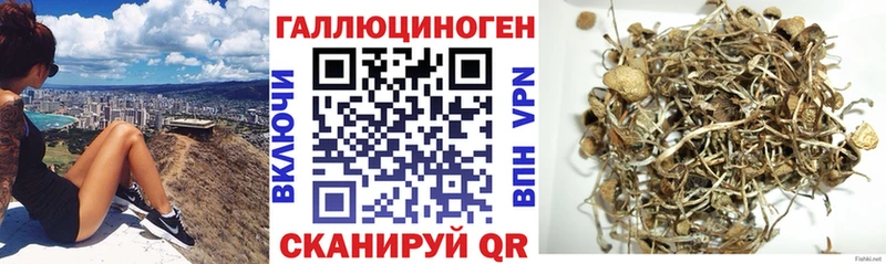 Псилоцибиновые грибы Cubensis  Купить  Энем 